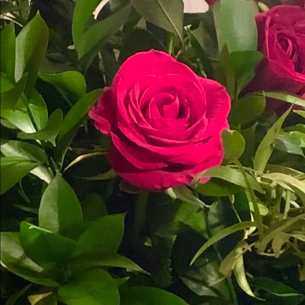 Meet your Posher, Amy